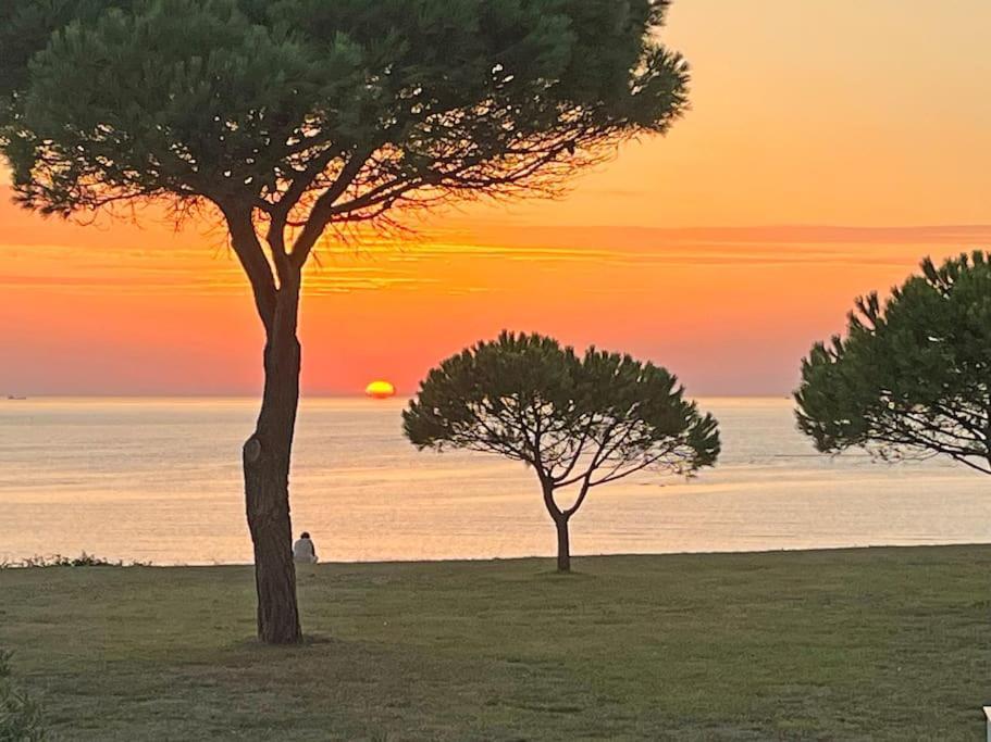 Magnifique Vue Iles Et Ocean-seaside-